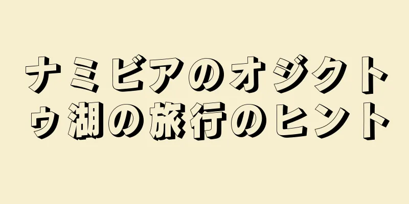 ナミビアのオジクトゥ湖の旅行のヒント