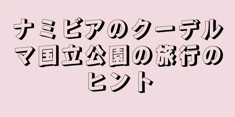 ナミビアのクーデルマ国立公園の旅行のヒント