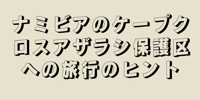 ナミビアのケープクロスアザラシ保護区への旅行のヒント