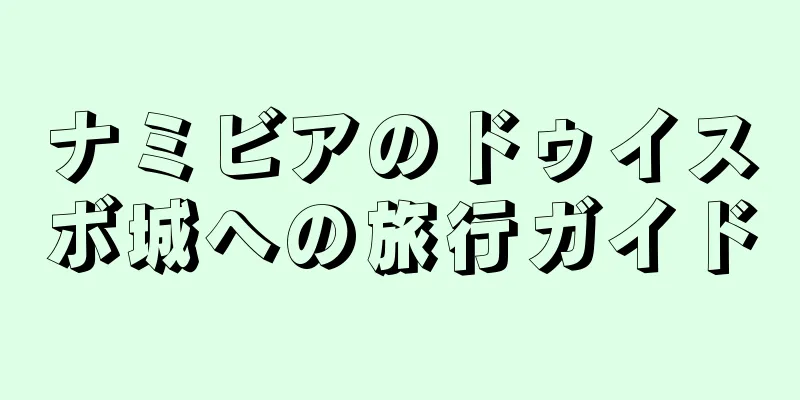 ナミビアのドゥイスボ城への旅行ガイド