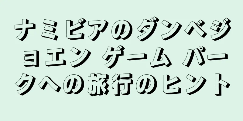 ナミビアのダンベジョエン ゲーム パークへの旅行のヒント