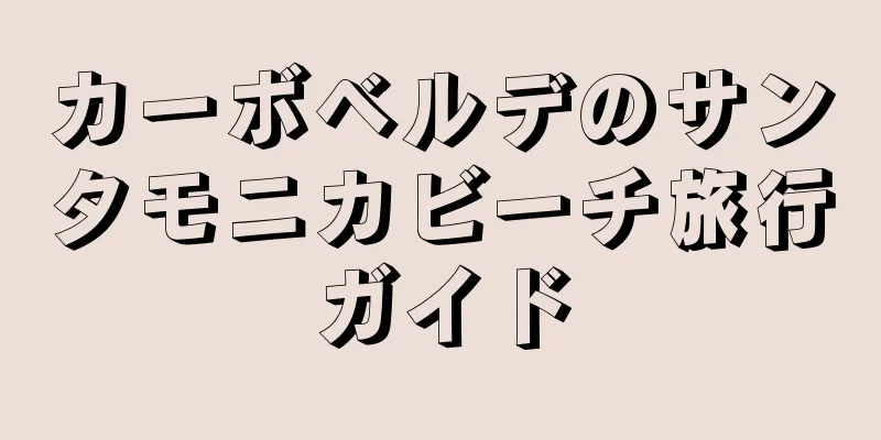 カーボベルデのサンタモニカビーチ旅行ガイド