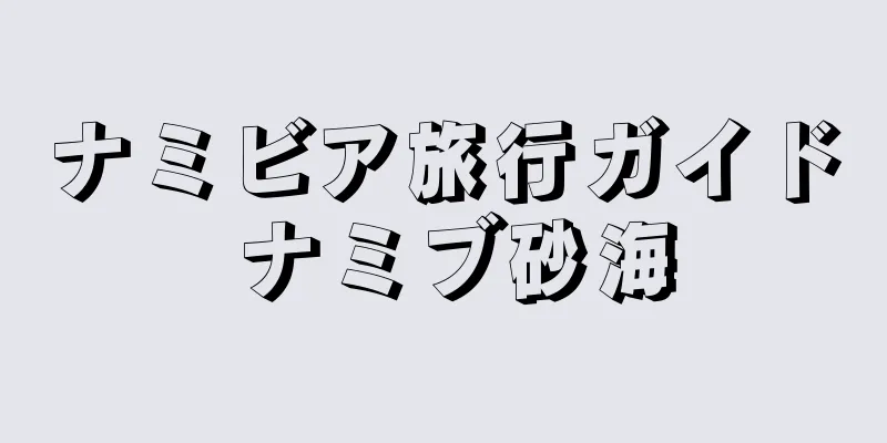 ナミビア旅行ガイド ナミブ砂海