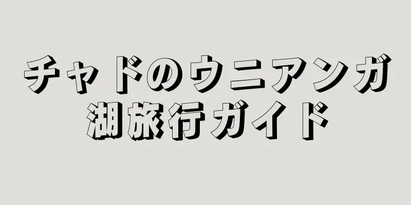 チャドのウニアンガ湖旅行ガイド