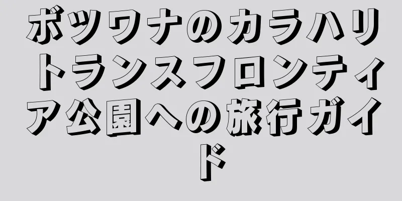 ボツワナのカラハリトランスフロンティア公園への旅行ガイド