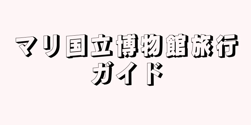 マリ国立博物館旅行ガイド