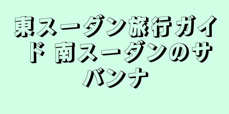 東スーダン旅行ガイド 南スーダンのサバンナ