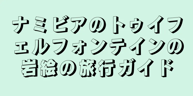 ナミビアのトゥイフェルフォンテインの岩絵の旅行ガイド