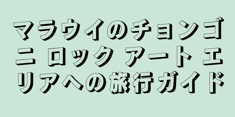 マラウイのチョンゴニ ロック アート エリアへの旅行ガイド