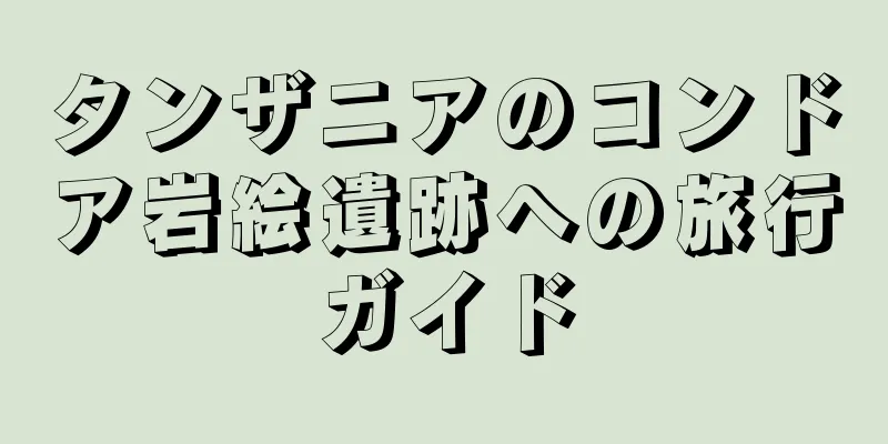 タンザニアのコンドア岩絵遺跡への旅行ガイド
