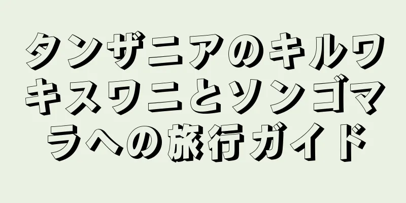 タンザニアのキルワキスワニとソンゴマラへの旅行ガイド