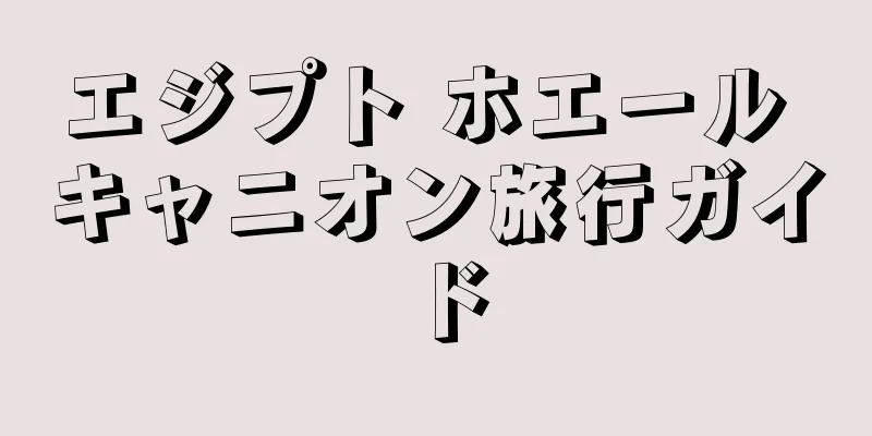 エジプト ホエール キャニオン旅行ガイド