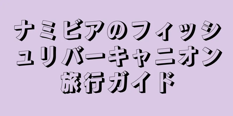 ナミビアのフィッシュリバーキャニオン旅行ガイド