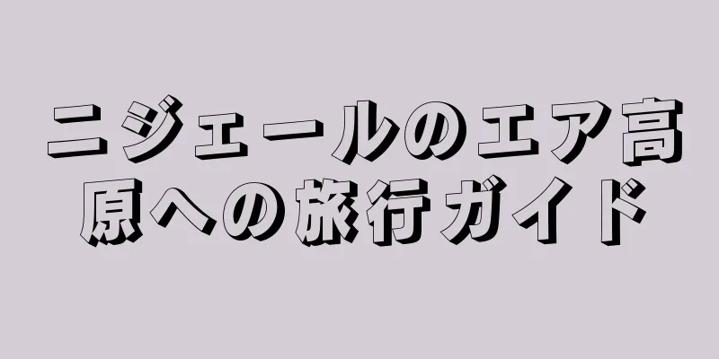 ニジェールのエア高原への旅行ガイド