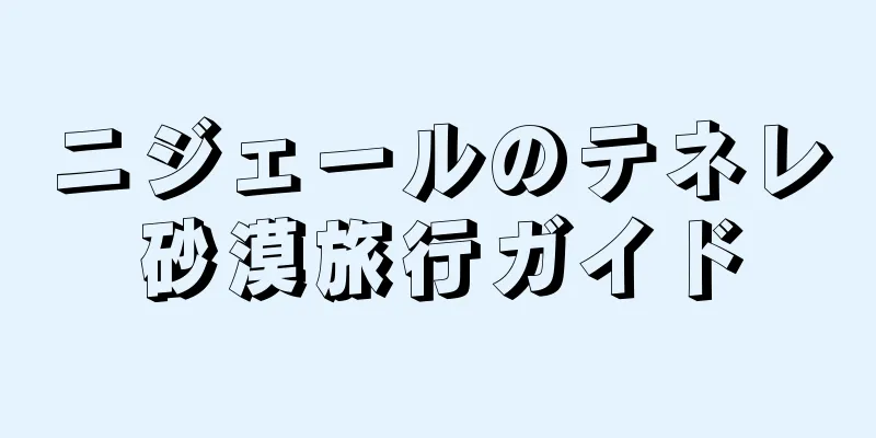 ニジェールのテネレ砂漠旅行ガイド
