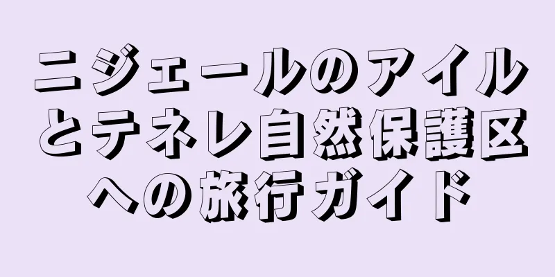 ニジェールのアイルとテネレ自然保護区への旅行ガイド