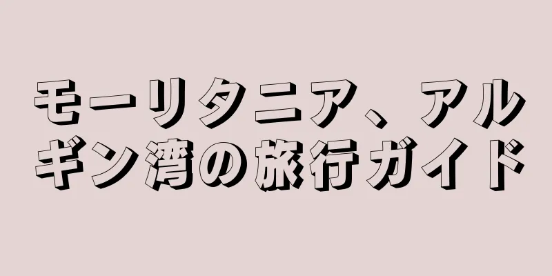 モーリタニア、アルギン湾の旅行ガイド