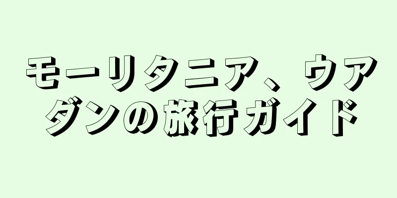 モーリタニア、ウアダンの旅行ガイド