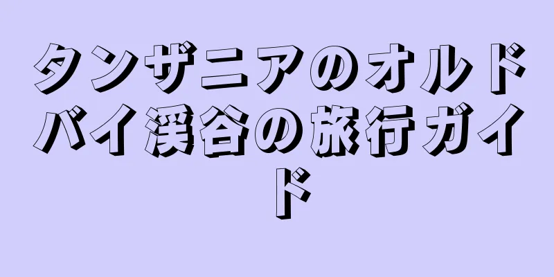 タンザニアのオルドバイ渓谷の旅行ガイド