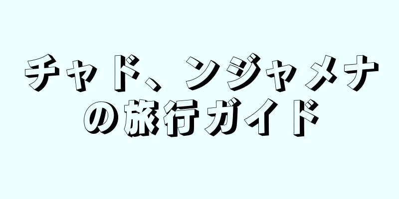 チャド、ンジャメナの旅行ガイド