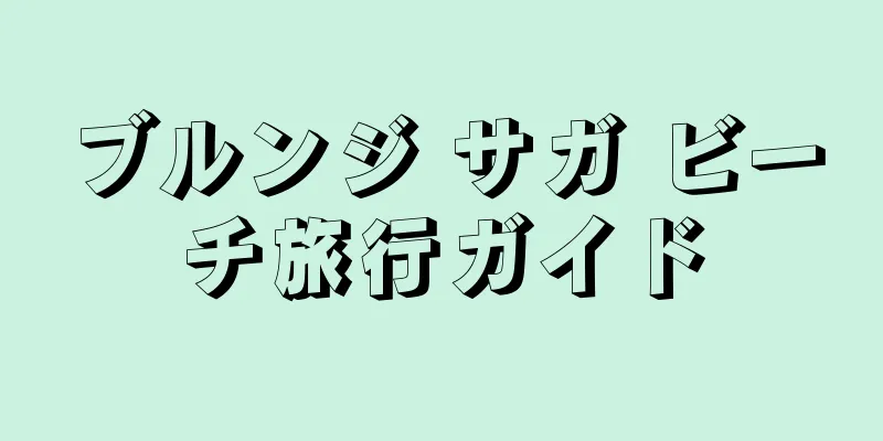 ブルンジ サガ ビーチ旅行ガイド