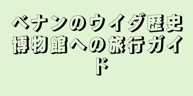 ベナンのウイダ歴史博物館への旅行ガイド