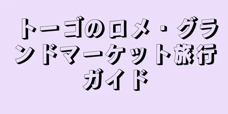 トーゴのロメ・グランドマーケット旅行ガイド