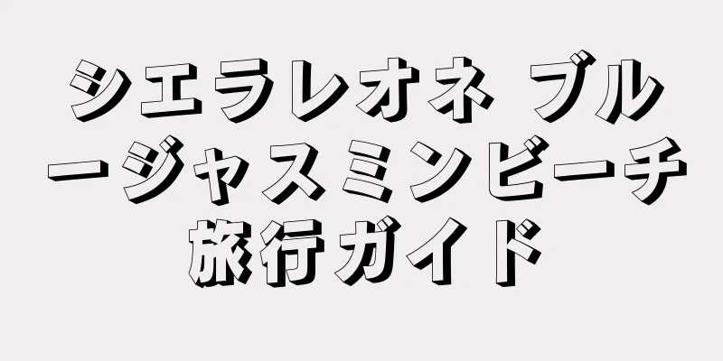 シエラレオネ ブルージャスミンビーチ旅行ガイド