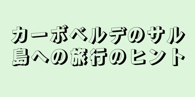 カーボベルデのサル島への旅行のヒント