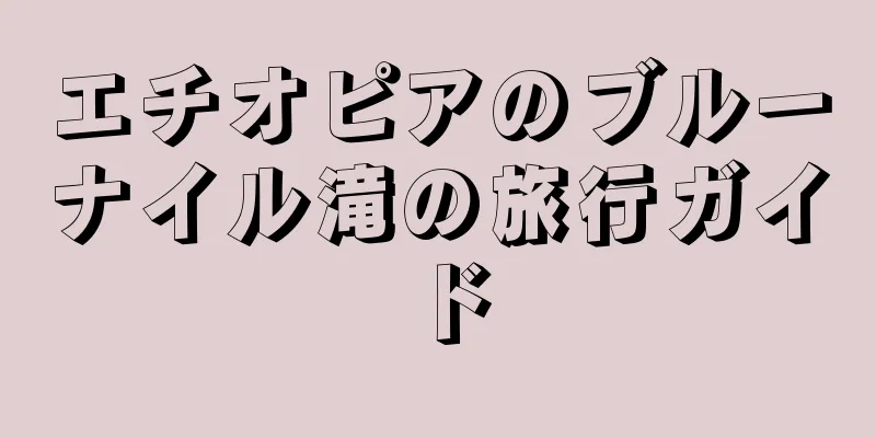 エチオピアのブルーナイル滝の旅行ガイド