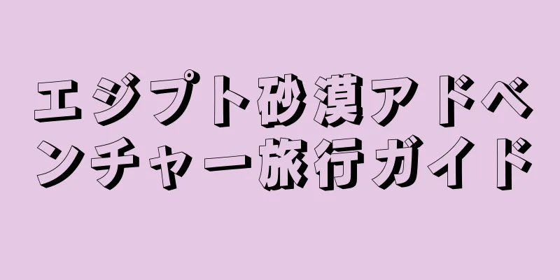 エジプト砂漠アドベンチャー旅行ガイド