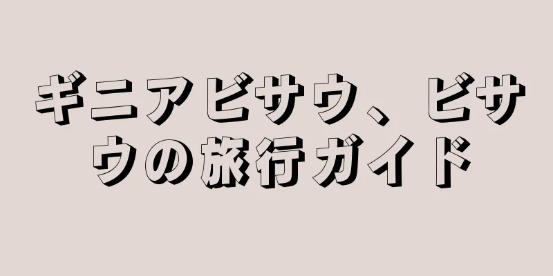 ギニアビサウ、ビサウの旅行ガイド
