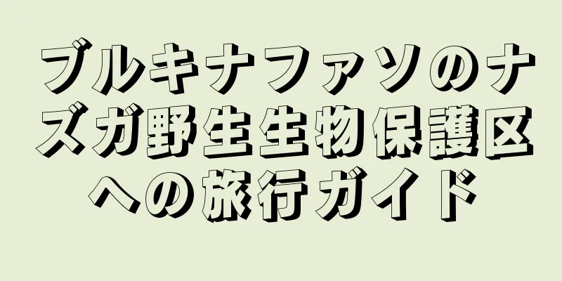 ブルキナファソのナズガ野生生物保護区への旅行ガイド