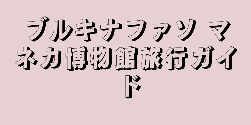 ブルキナファソ マネカ博物館旅行ガイド