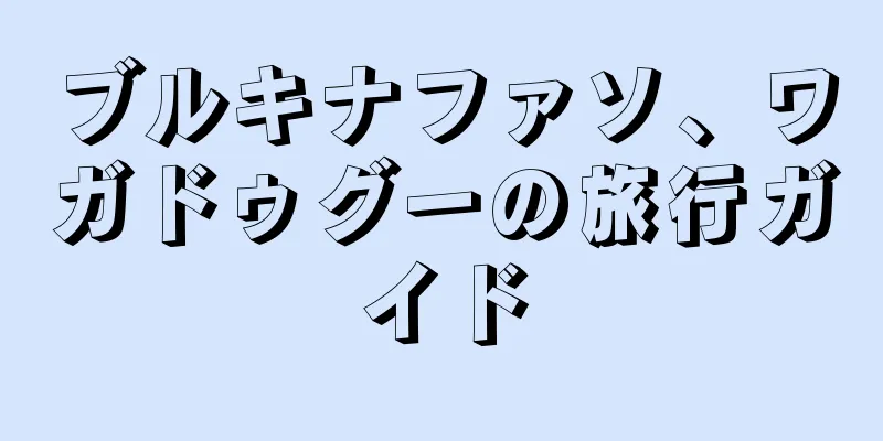 ブルキナファソ、ワガドゥグーの旅行ガイド
