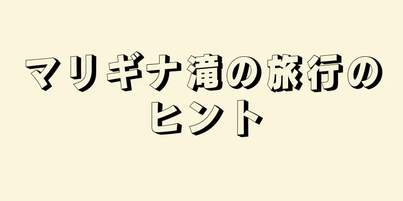 マリギナ滝の旅行のヒント