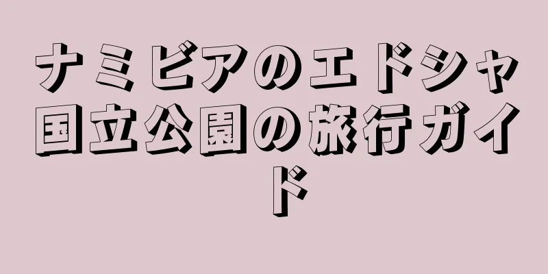 ナミビアのエドシャ国立公園の旅行ガイド