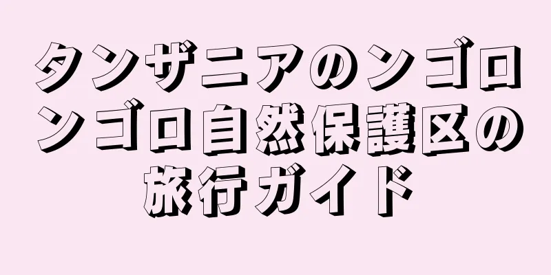 タンザニアのンゴロンゴロ自然保護区の旅行ガイド