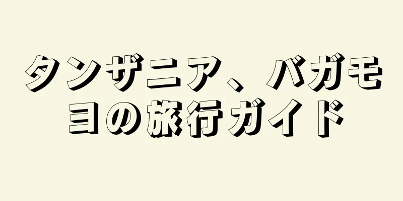タンザニア、バガモヨの旅行ガイド