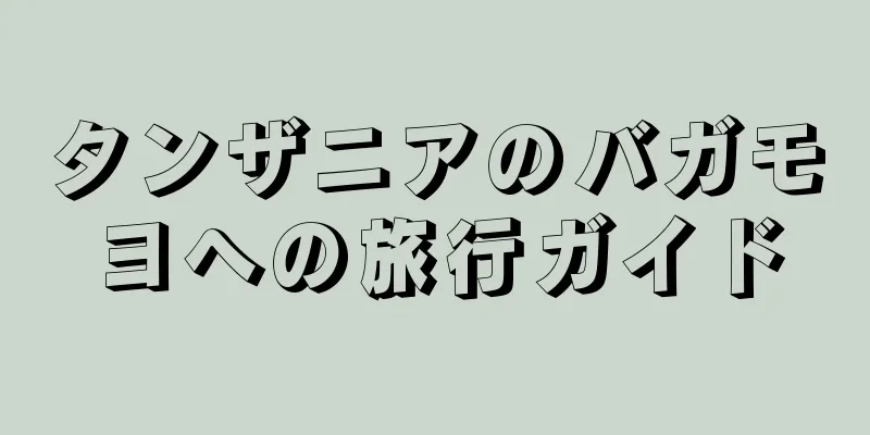 タンザニアのバガモヨへの旅行ガイド