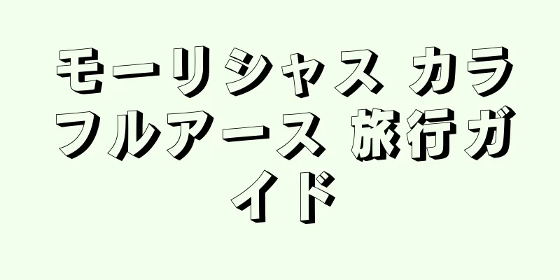 モーリシャス カラフルアース 旅行ガイド