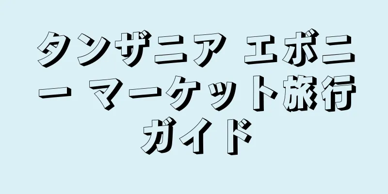 タンザニア エボニー マーケット旅行ガイド