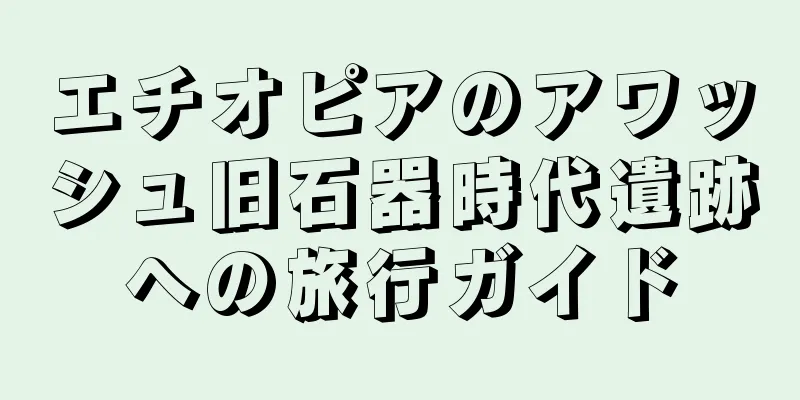 エチオピアのアワッシュ旧石器時代遺跡への旅行ガイド