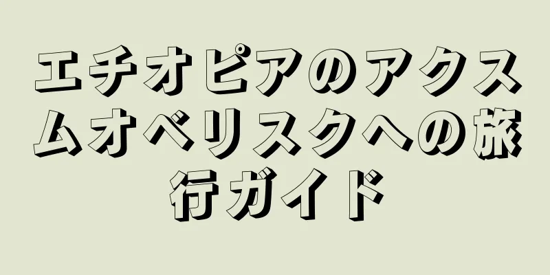 エチオピアのアクスムオベリスクへの旅行ガイド