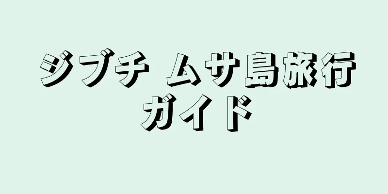 ジブチ ムサ島旅行ガイド