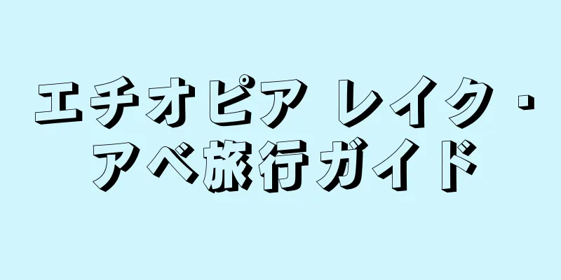 エチオピア レイク・アベ旅行ガイド