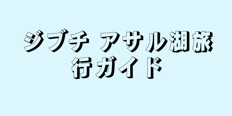 ジブチ アサル湖旅行ガイド