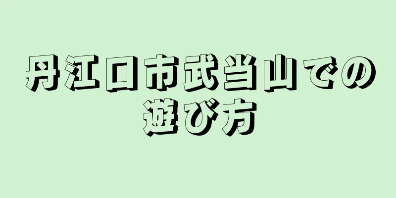 丹江口市武当山での遊び方