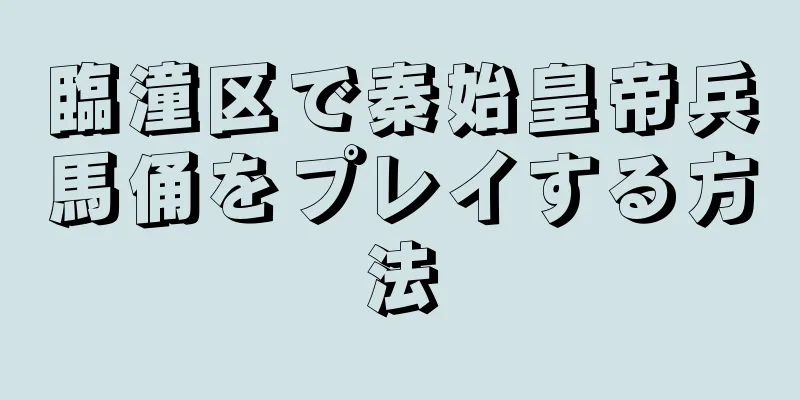 臨潼区で秦始皇帝兵馬俑をプレイする方法