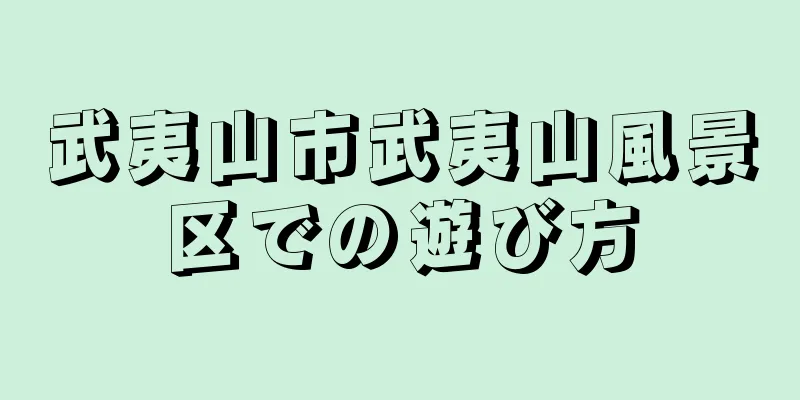 武夷山市武夷山風景区での遊び方